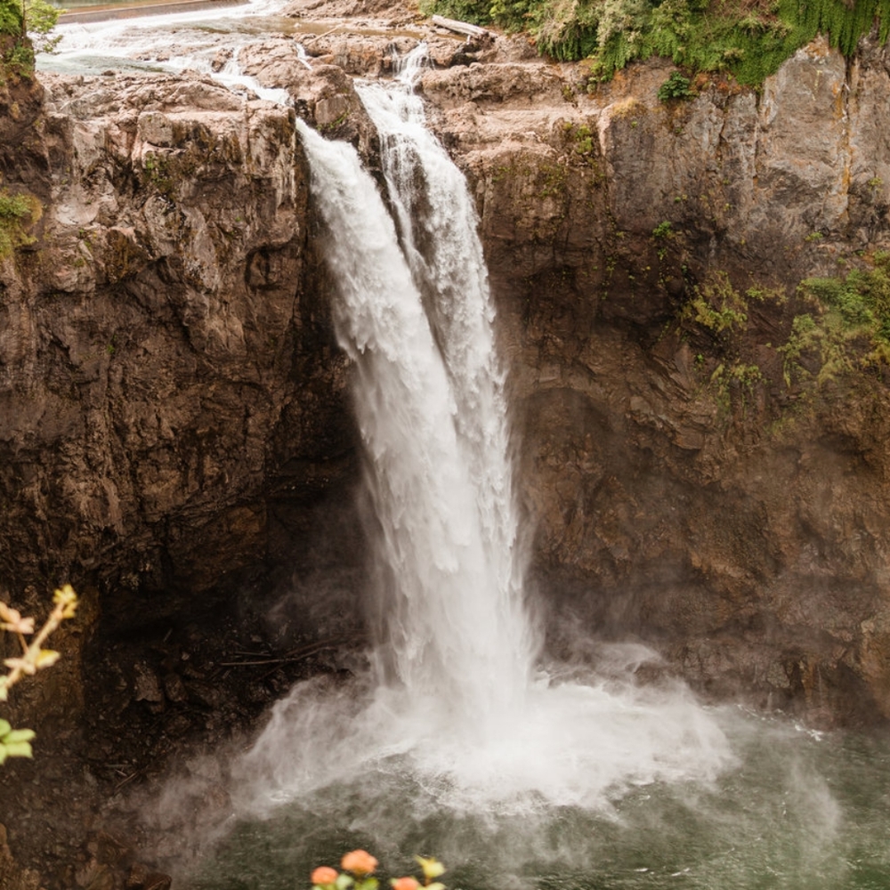 Meet your Posher, Ally